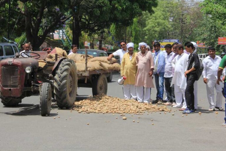 यूपी के दूसरे चरण में आलू बड़ा मुद्दा, गन्ना की तरह रहेगा हावी !