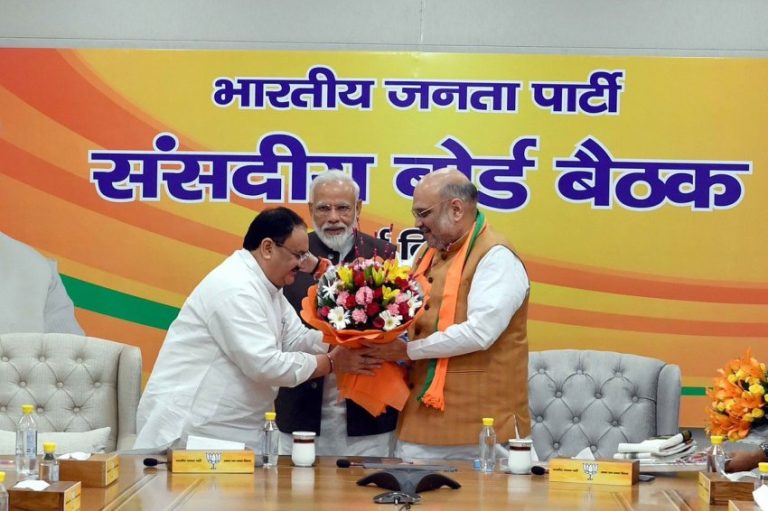 सत्ता और संगठन से दूर हो चुके बीजेपी के ये दिग्गज नेता बनेंगे राज्यपाल