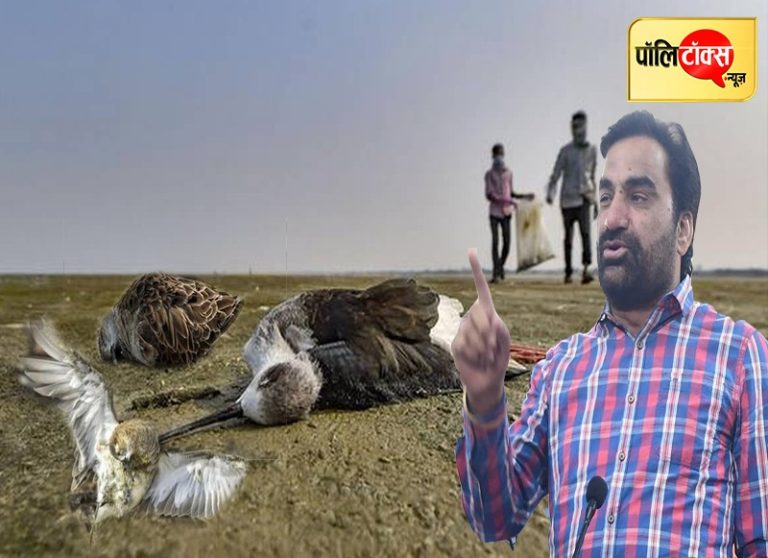 वीडियो खबर: लोकसभा में बेजुबानों की आवाज बने बेनीवाल