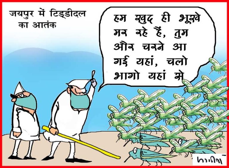 कोरोना काल में काम-धंधे हुए ठप्प, बढ़ी बेरोजगारी और ऊपर से टिड्डी दल का हमला