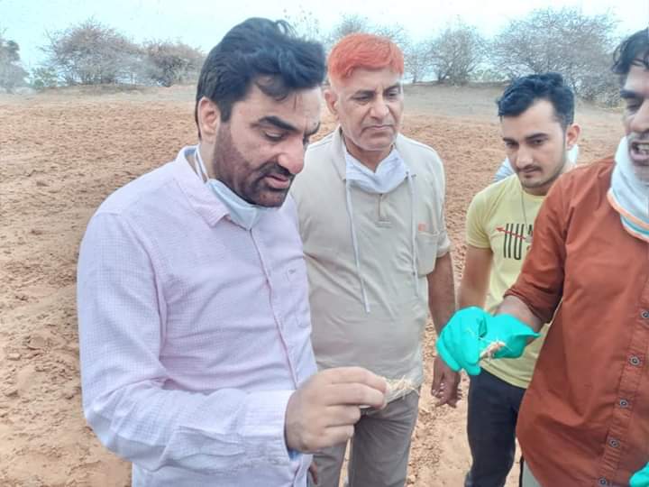 सांसद हनुमान बेनीवाल