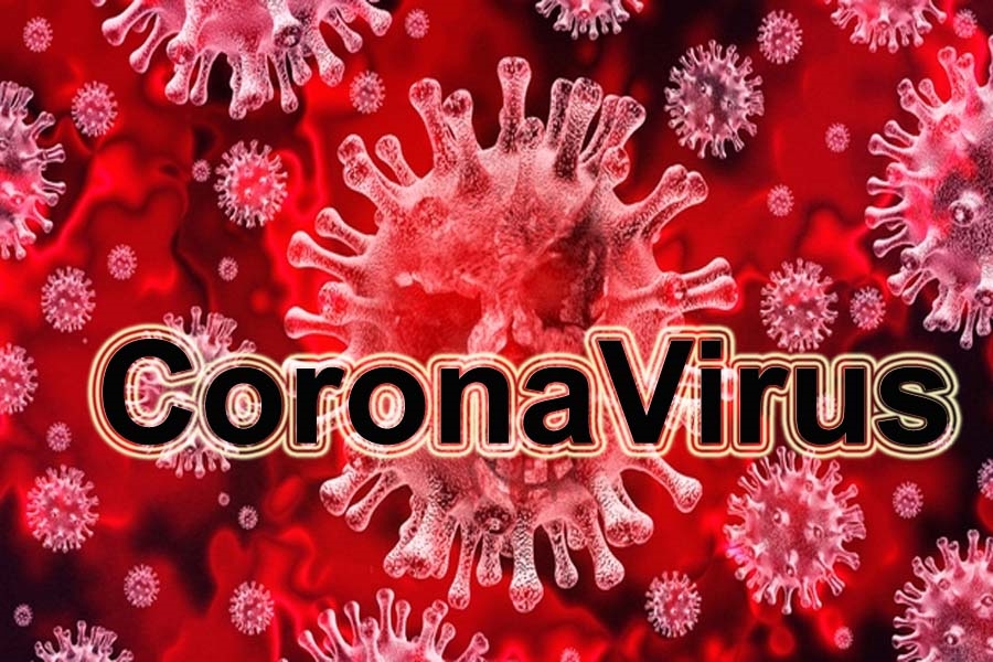 Corona Update of Rajasthan