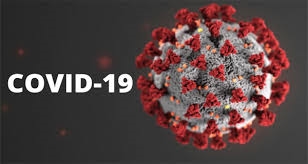 Rajasthan Stopped Corona With Effective Strategy 348089