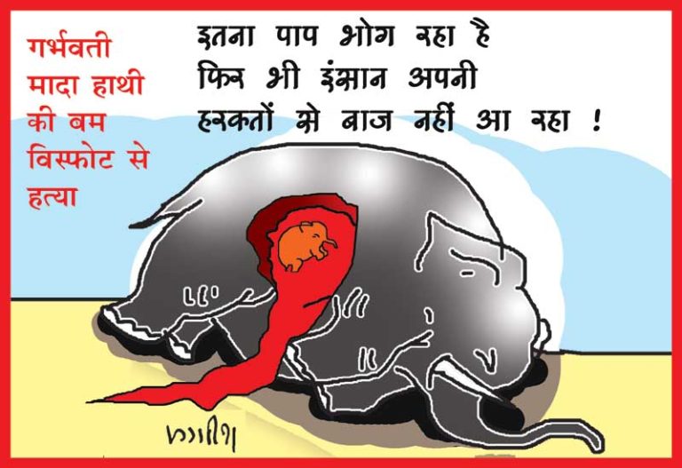 Today’s politoon dedicated to the death of Pregnant Elephant in Kerala