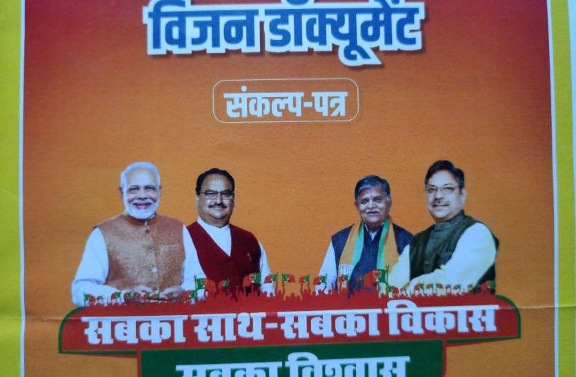 Vision Document 1 6483343 835x547 M.jpg