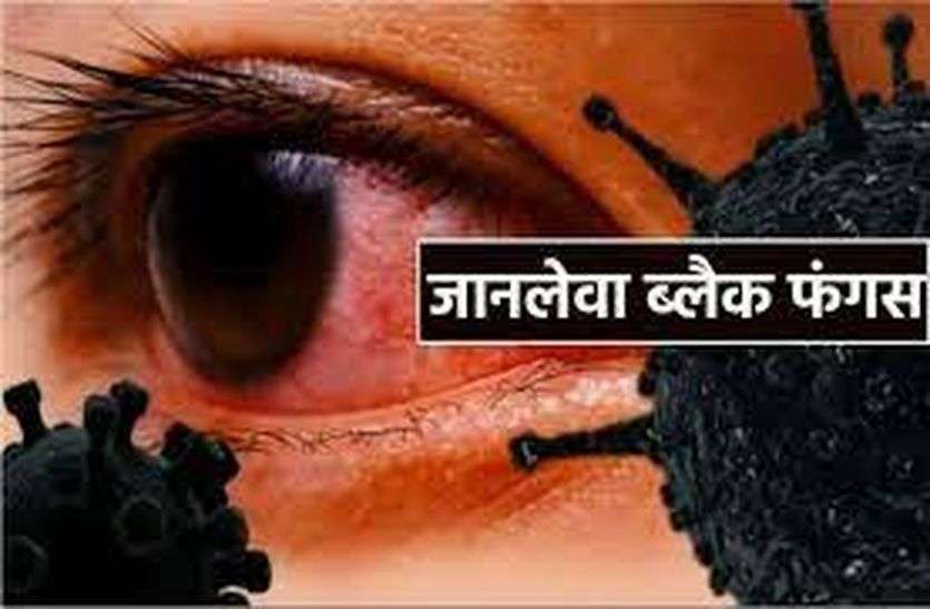 fangs 7 6852278 835x547 m