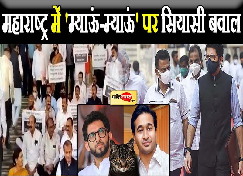 महाराष्ट्र में 'म्याऊं-म्याऊं' पर सियासी बवाल
