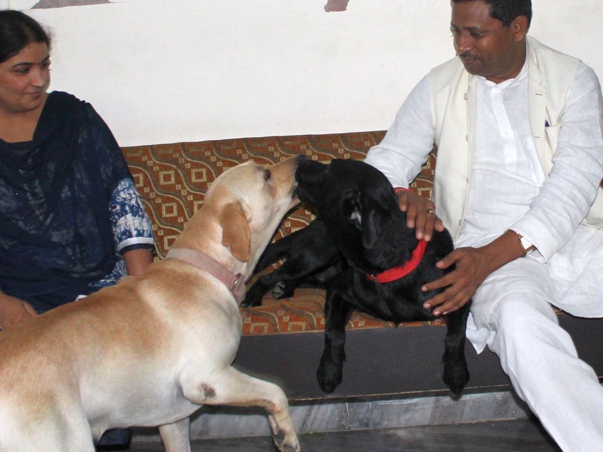 सांसद का कुत्ता ढूंढने पर 15 हजार का इनाम