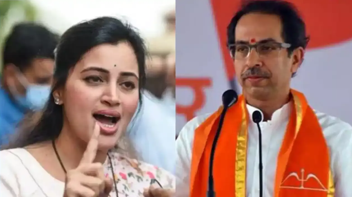 'ठाकरे नहीं हैं किसी काम के'