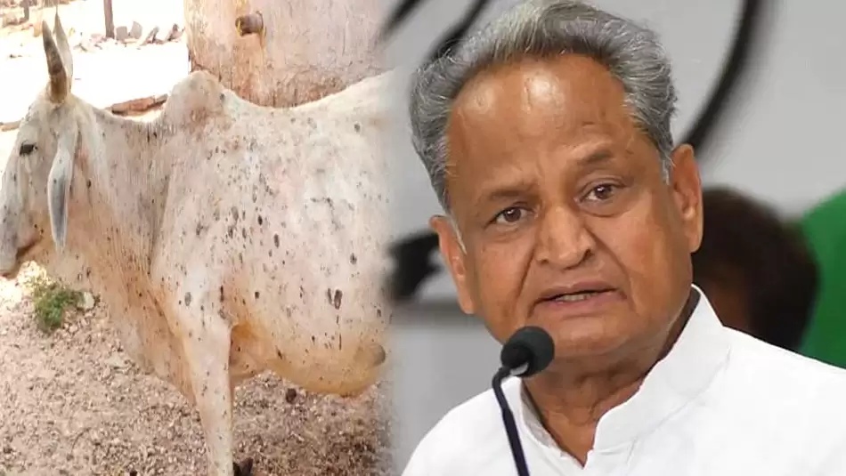 21aab3677d165027c2c8a154d05f4c74