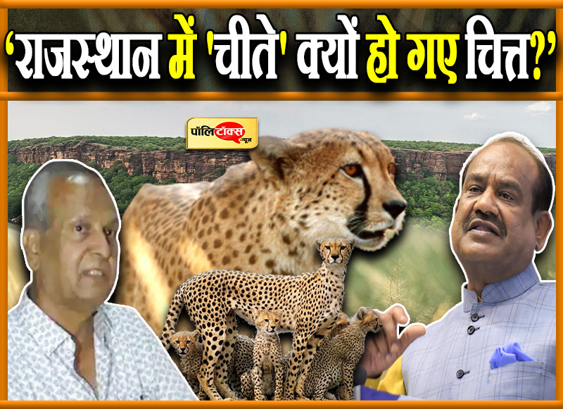 kundanpur on cheetah copy