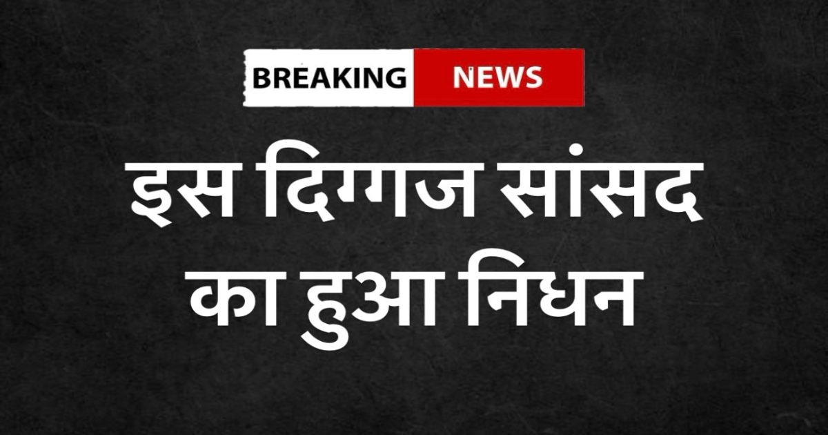 whatsapp image 2024 02 27 at 10.41.52