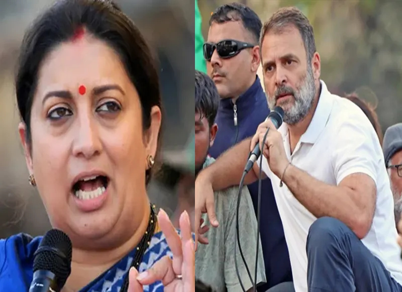 smriti irani on rahul gandhi