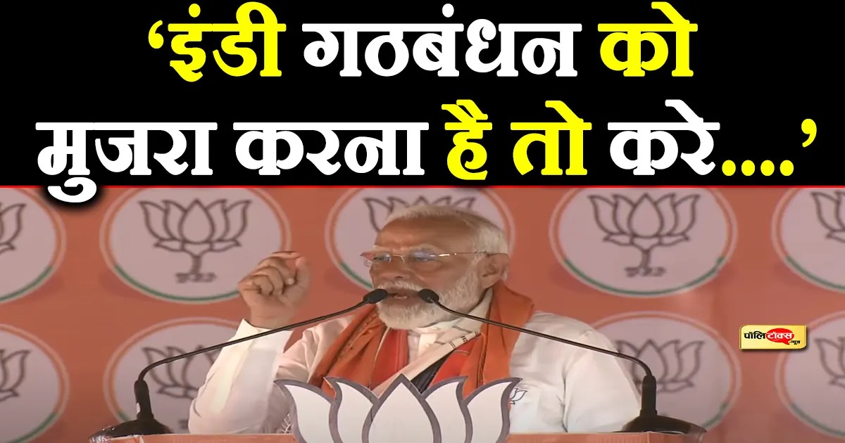 whatsapp image 2024 05 25 at 14.53.34