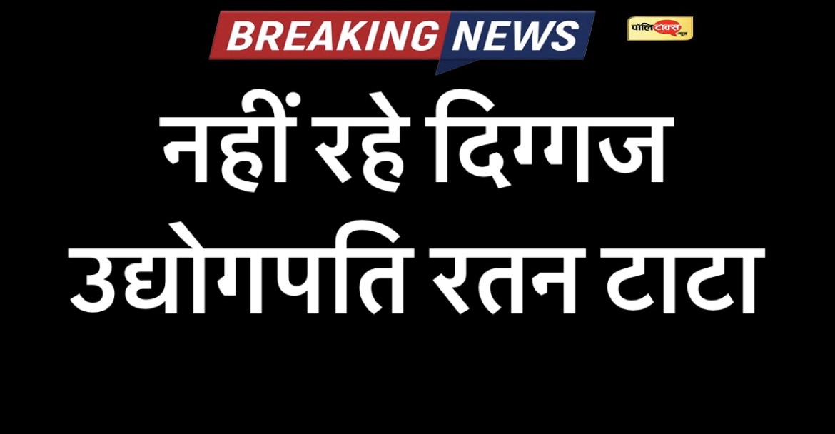 5371111a 33c3 4a9a 99c2 aafb4c934013