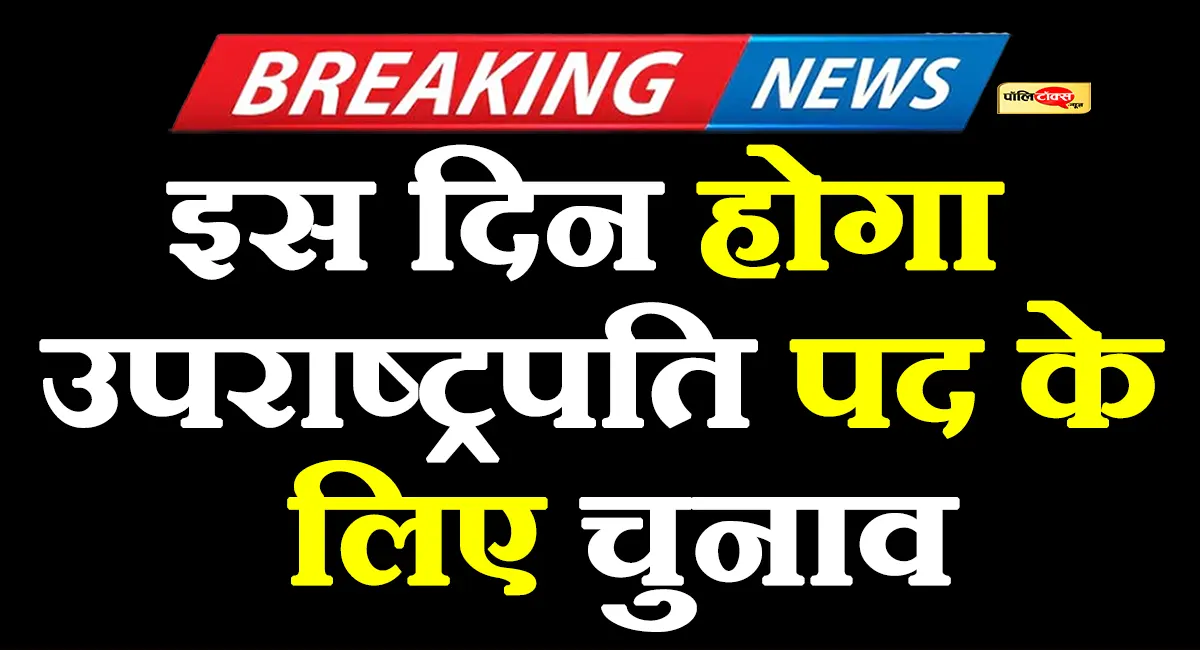 Vice President election