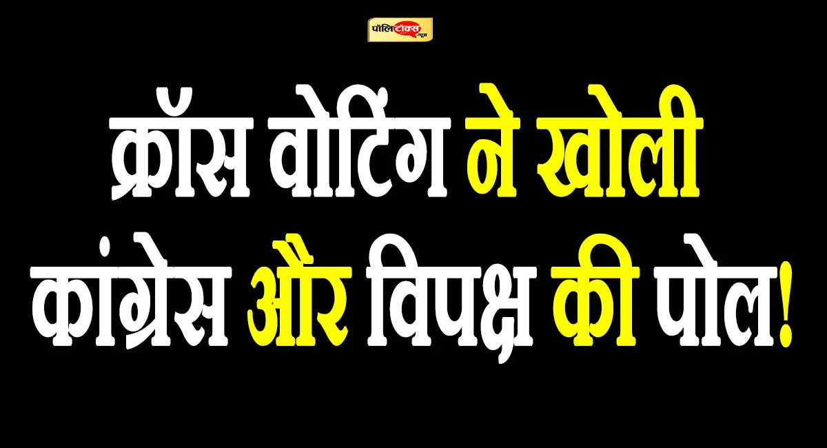 vice president election